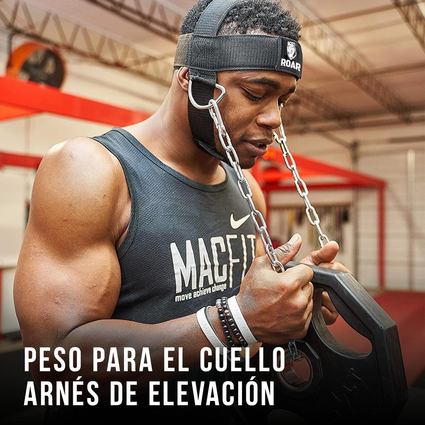 Arnés Cabeza