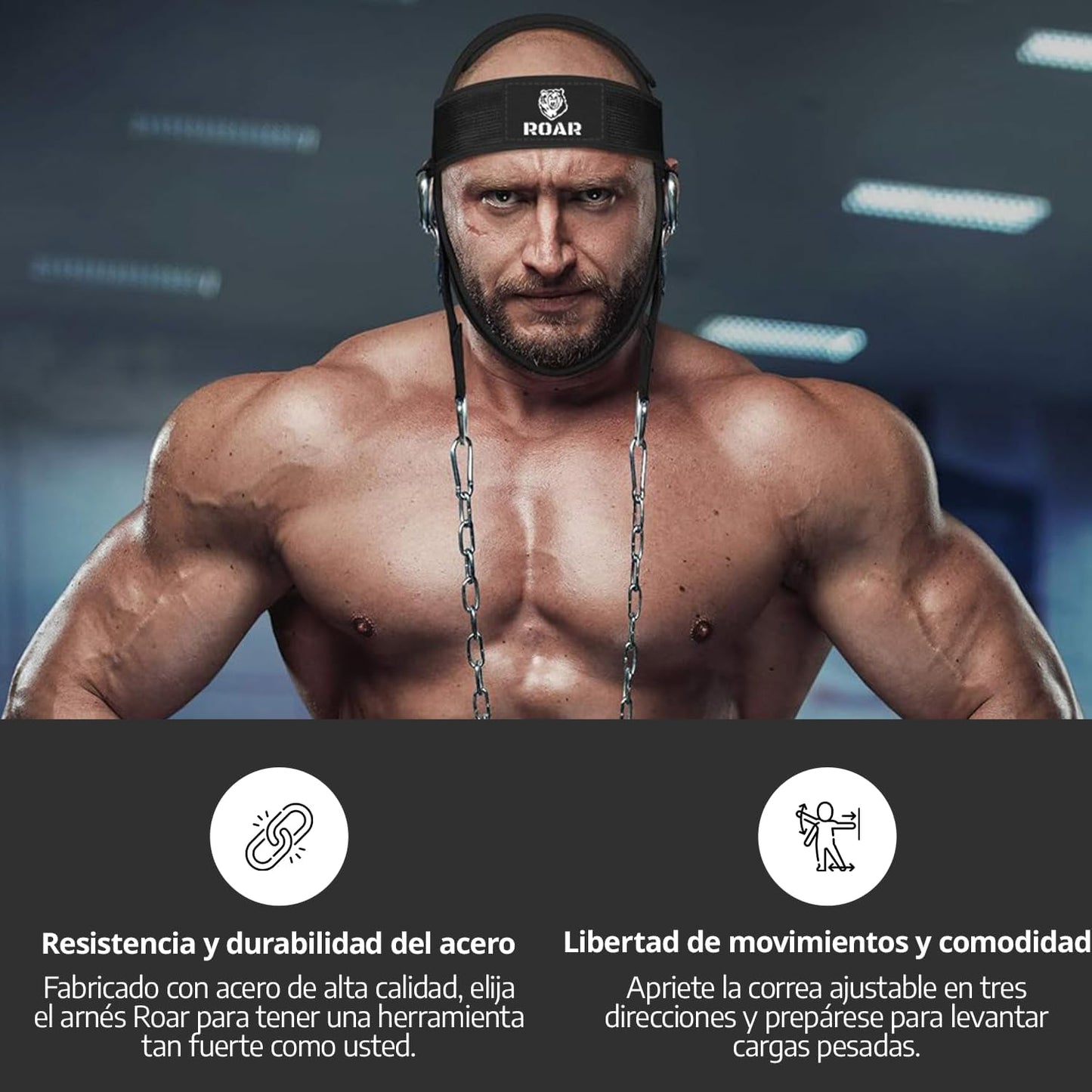 Arnés Cabeza
